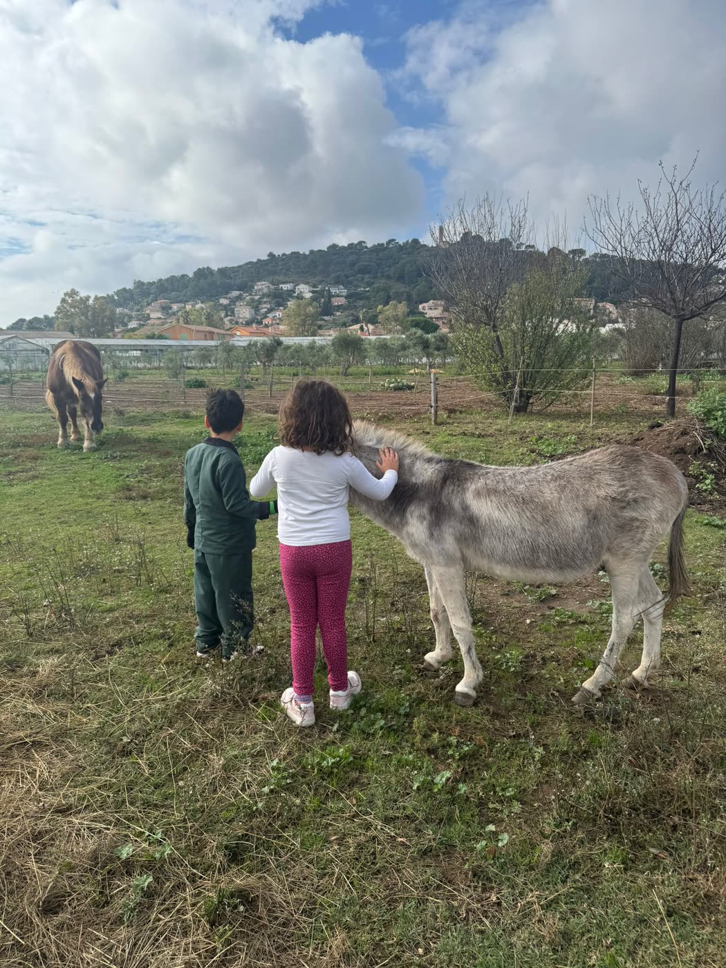 Deux enfants caressant un âne lors d'une sortie nature à la ferme